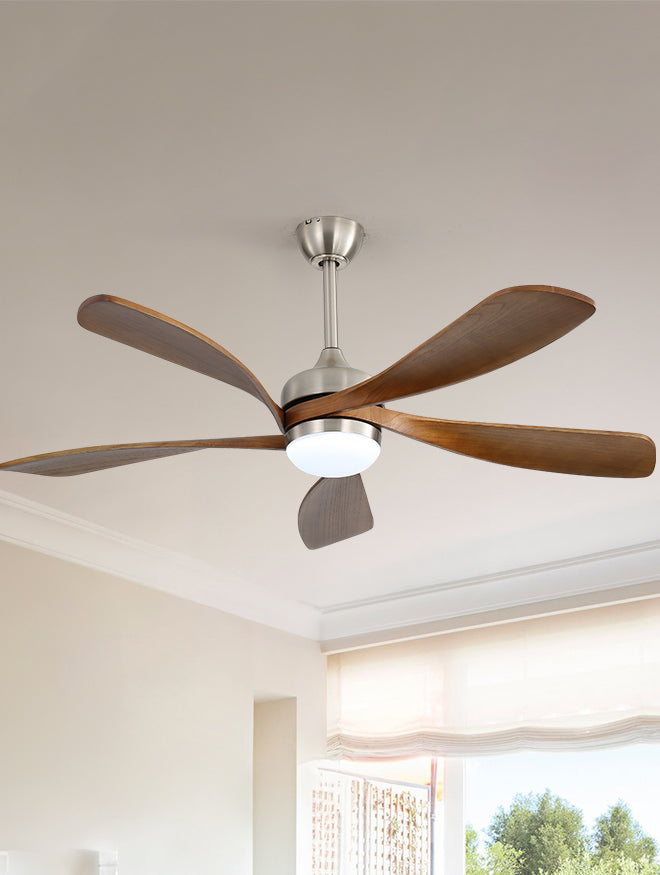 Celing Fans & Lighting